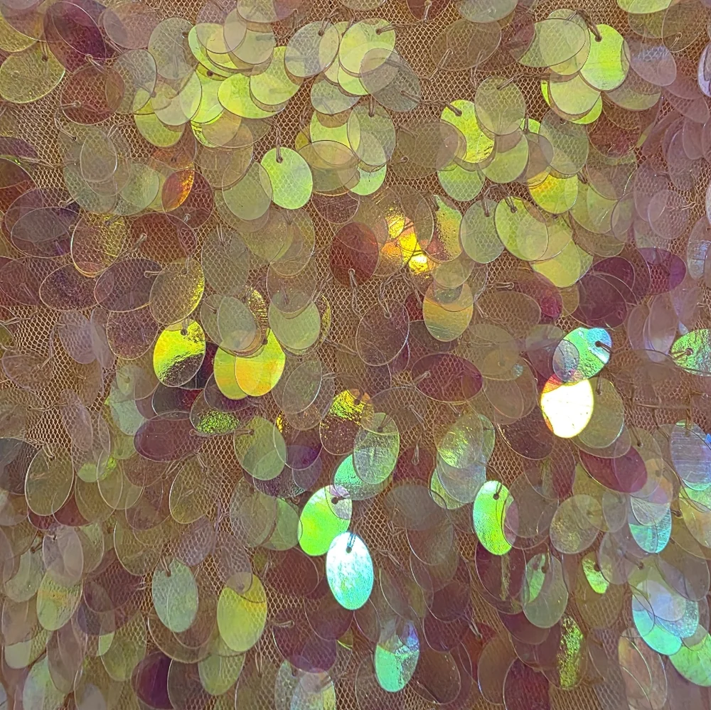 TopShop Iridescent Sequin Top - Picture 6 of 10